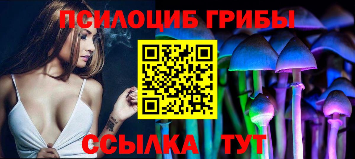 Псилоцибиновые грибы MAGIC MUSHROOMS Шатура